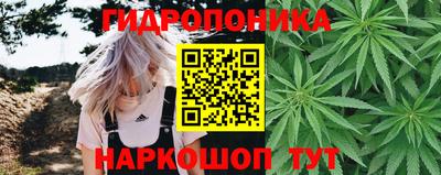 круглые Бердск