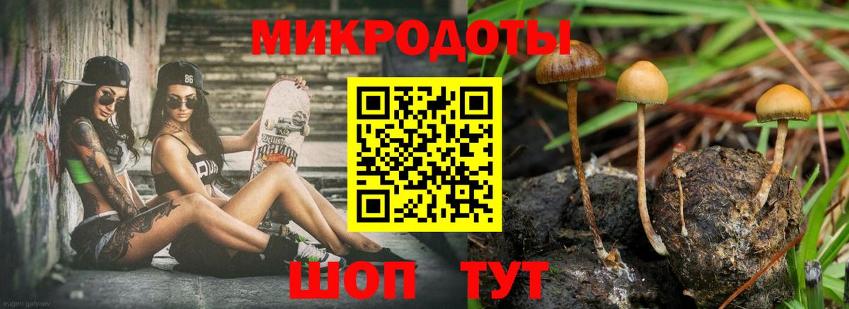 Псилоцибиновые грибы Psilocybe  Вход с VPN  Набережные Челны 